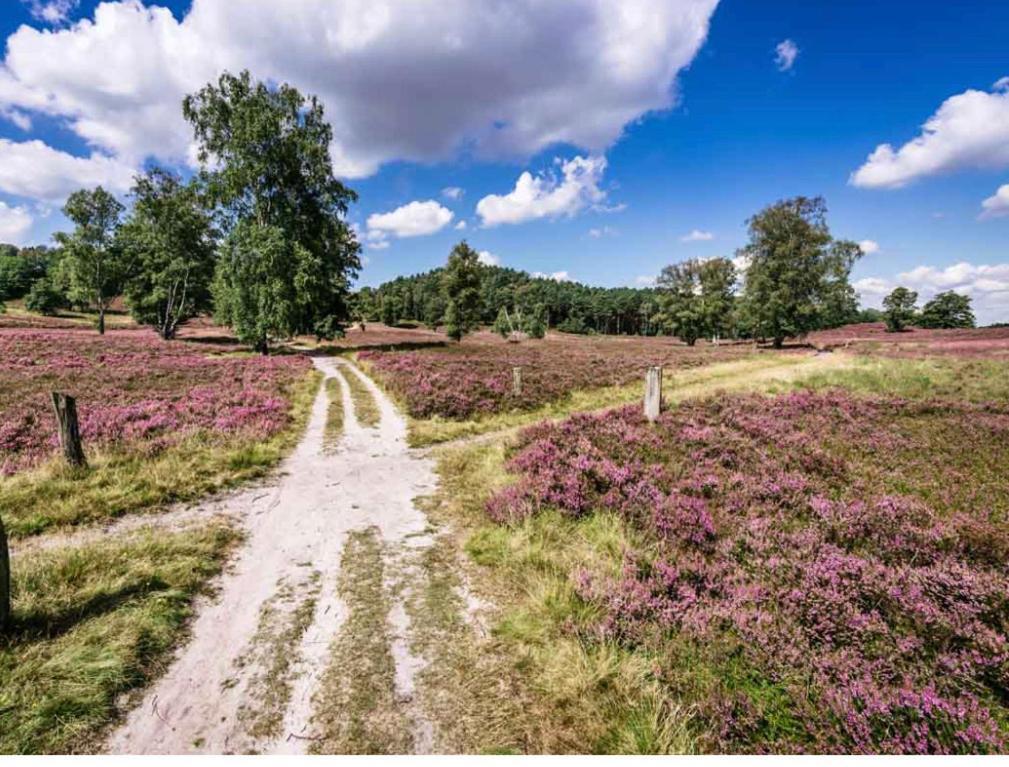 Feelslikehome - Reihenhaus Zwischen Hamburg Und Heide Mit Garten&garage